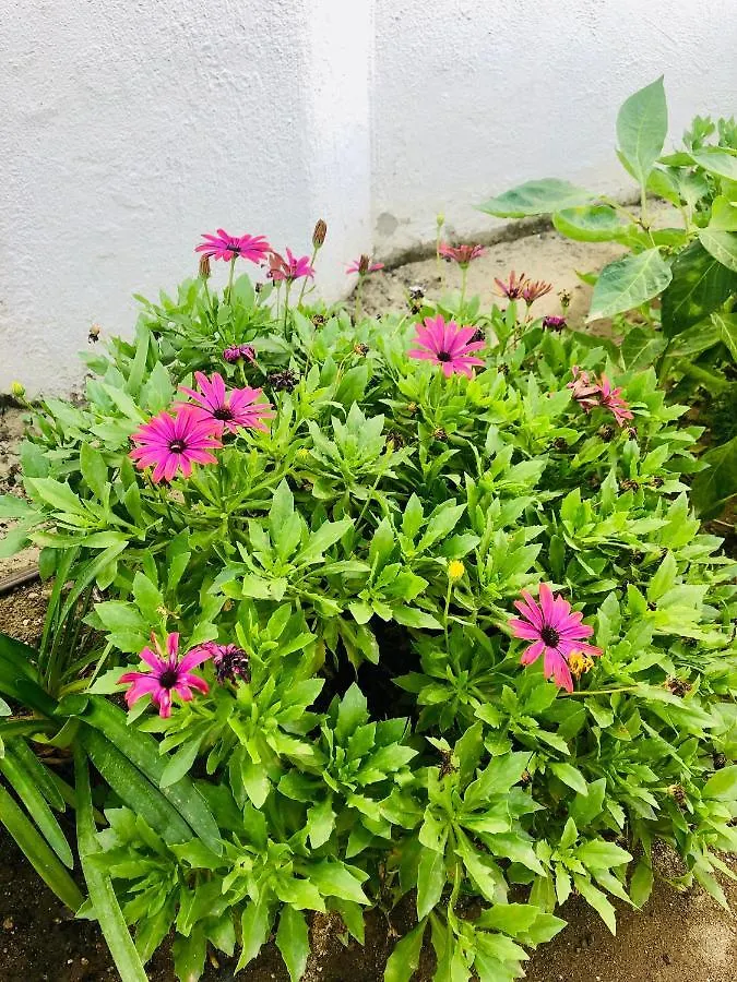 הוילה Casa 11 Cortijo Blanco מארבלה